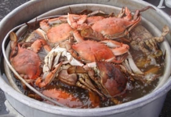Cajun Boiled Crabs