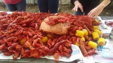 How to eat crawfish instructions
