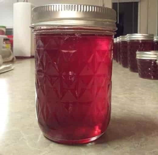 Homemade Plum Jelly